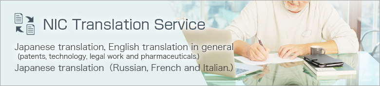 NIC translation service